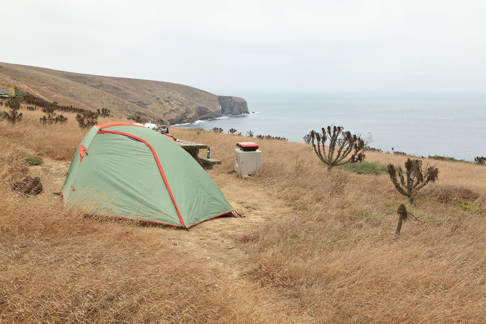 Tent sitting in dried grass on a ocean bluff overlooking the coastline.