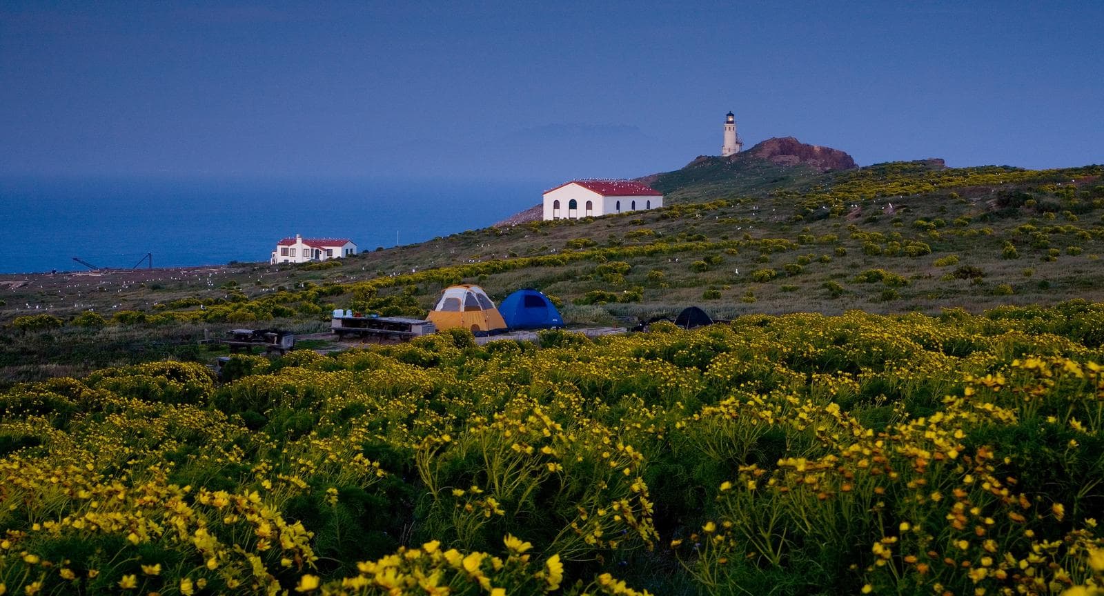 Coastal terrace with two tents, two buildings and lighthouse in the distance. 