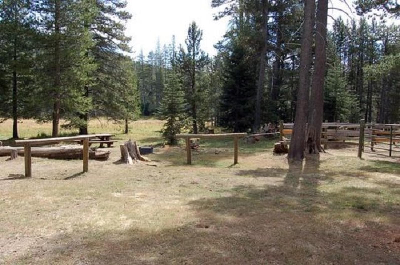 Little Lasier Horse Campground