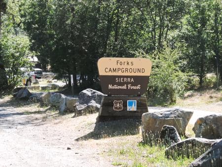 Forks Campground (Sierra)