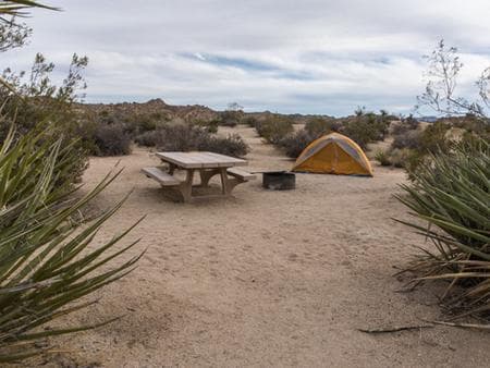 Cottonwood Campground (ca)
