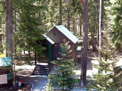 Small brown cascadian style cabin with green metal roof near outhouse and clothesline in sun dappled conifer forest.