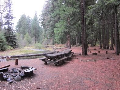 Fire ring and picnic tables overlooking calm creek flowing through conifer forest.