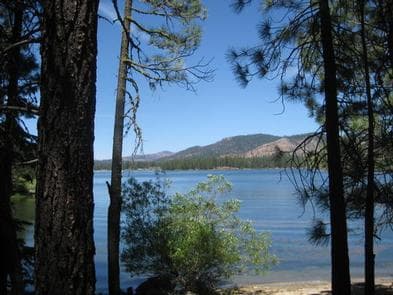 BOULDER CREEK (CA) View of Lake on a Sunny Day