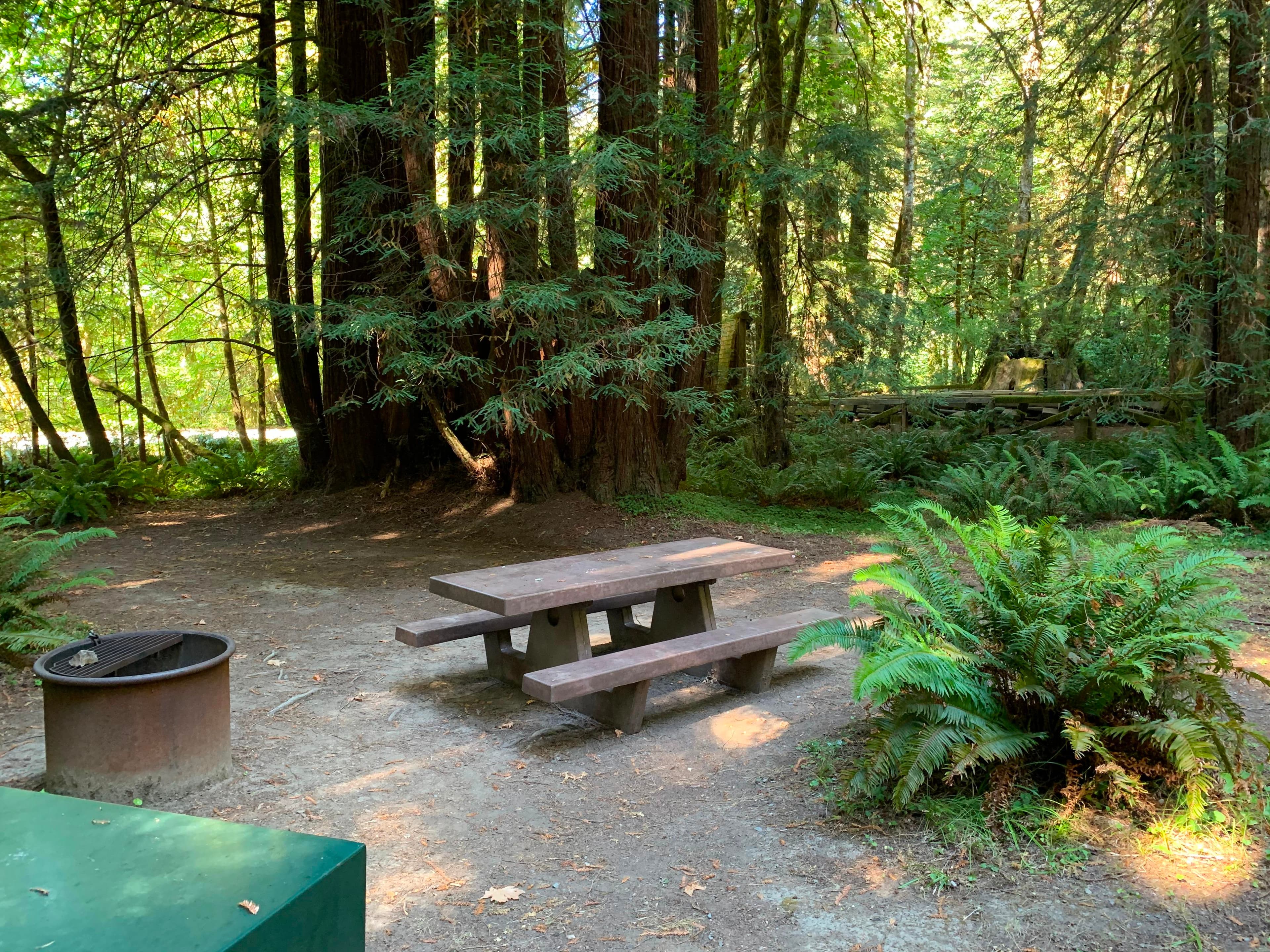 Campsite at Mill Creek Campground