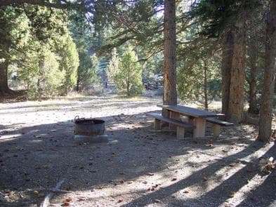 PINE LAKE CAMPGROUND
