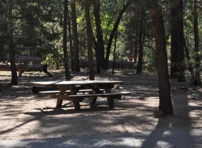 Shade & Picnic Tables of the San Gorgonio Campground......