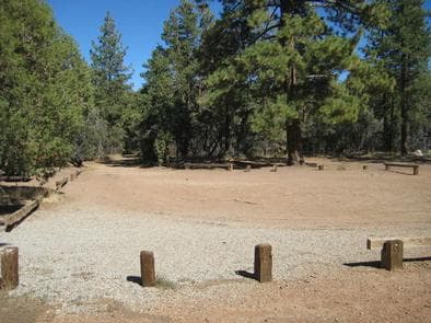 Tanglewood Group Camp