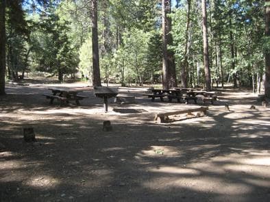Shaded area at Buttercup Group Camp.