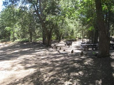 Shaded area at Buttercup Group Camp..