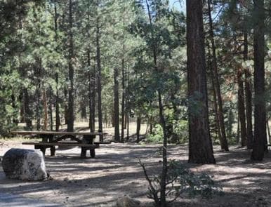 Shade & Picnic Tables of the San Gorgonio Campground..