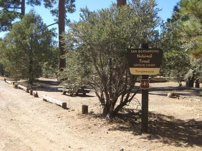 Tanglewood Group Camp Sign