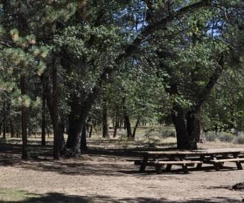 Shade & Picnic Tables of the San Gorgonio Campground....