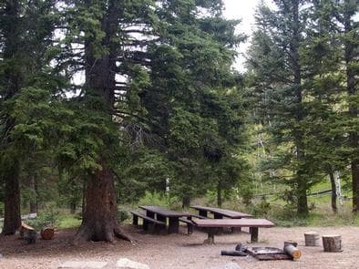 Cedar Canyon Campground  group site