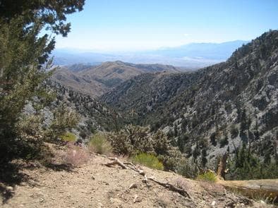 View from Coon Creek Group Campground