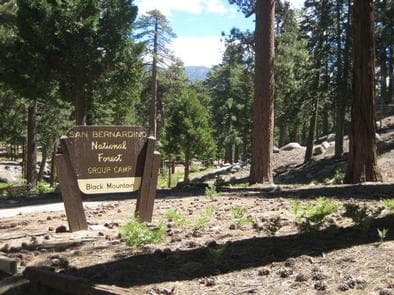 Black Mountain Campground sign with trees in the background.