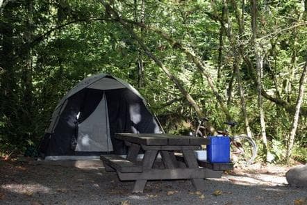 Money Creek Campground