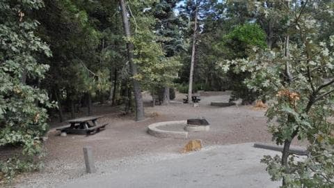 Family seating around fire ring at Dogwood Campground