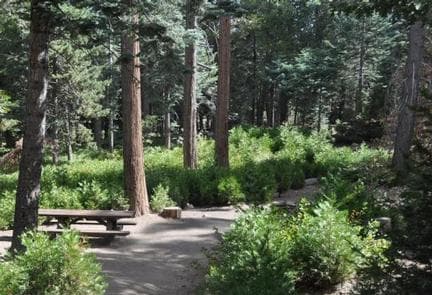 Beautiful view of Dogwood Campground