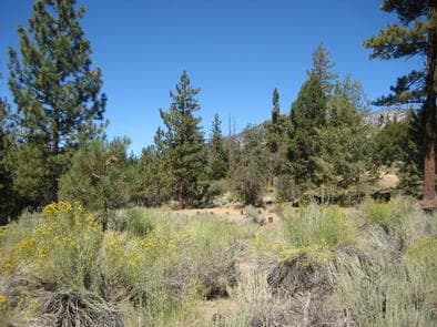 Scenic View from Heart Bar Equestrian Campground
