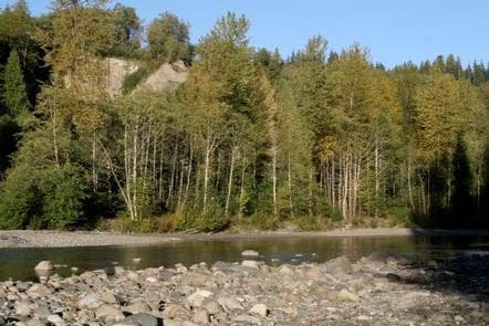 Gold Basin Campground