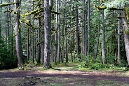 Excelsior Group Camp