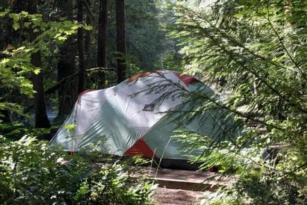 Douglas Fir Campground
