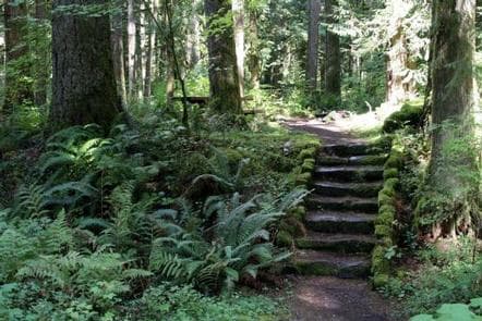 Douglas Fir Campground