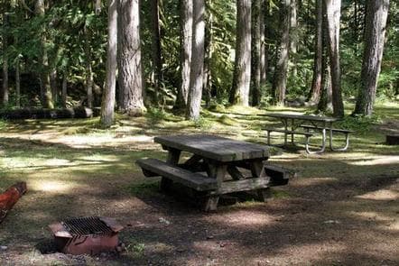 Excelsior Group Camp