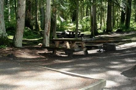 Douglas Fir Campground