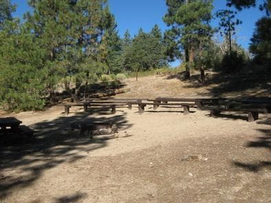 Lobo Group Campground Picnic Tables