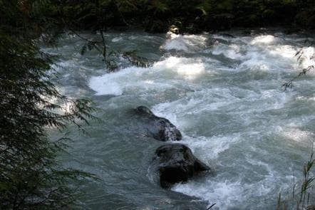 Douglas Fir Campground