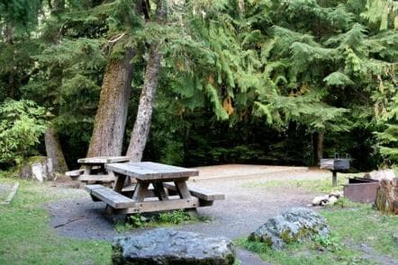 Silver Fir Campground