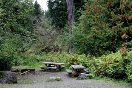 Shannon Creek Campground