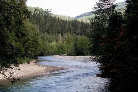 Silver Fir Campground