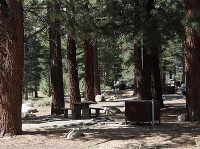 ROBINSON CREEK NORTH