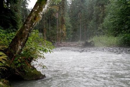 Park Creek Campground