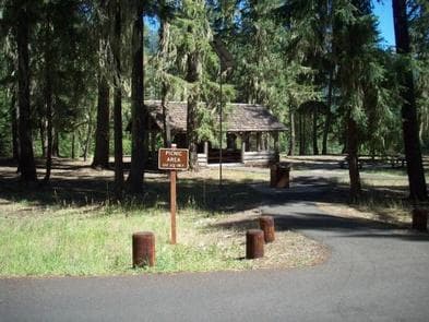 View past picnic area sign down paved road bordered with stump barriers and intermittent conifer trees, sunlit group picnic shelter in background.