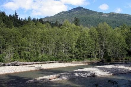 Silver Fir Campground