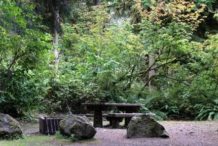 Shannon Creek Campground