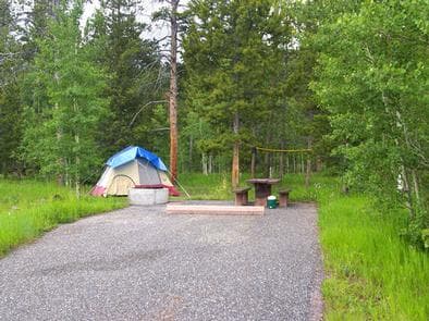 Lodgepole at Flaming Gorge