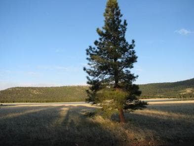 BENNY CREEK GROUP AREAq