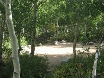 TABLE MOUNTAIN (INYO)