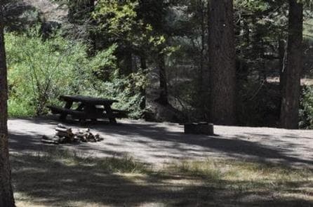 Naturally Shaded Area at Hanna Flat Campground