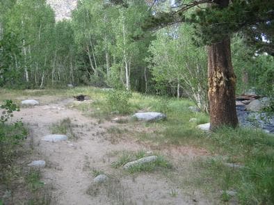 TABLE MOUNTAIN (INYO)
