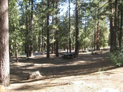 PINEKNOTNaturally Shaded Picnic Tables at Pineknot Campground