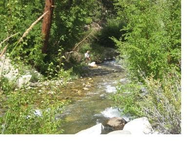 BIG PINE CREEK CAMPGROUND