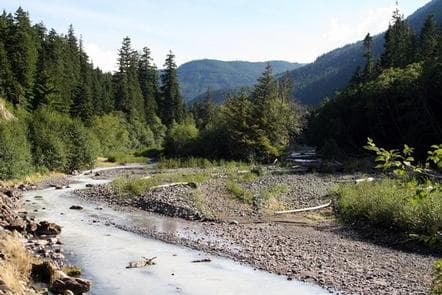 Silver Springs Campground