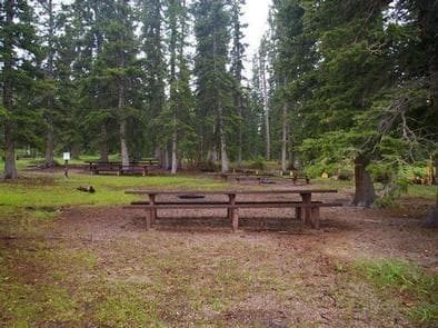 IRON SPRINGS GROUP ASHLEY