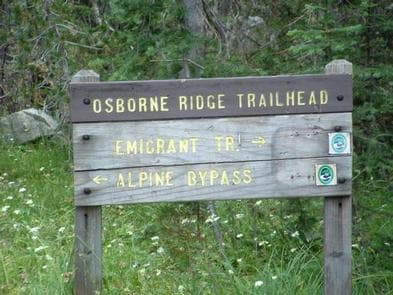 LAKE ALPINE - LODGEPOLE GROUP